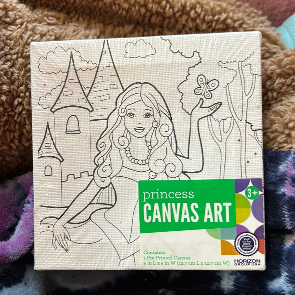 A princess paint/color your own canvas